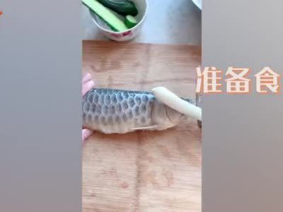 石家莊男子吃金龍魚
