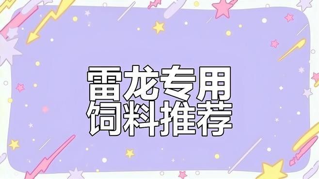 雷龍魚吃顆粒飼料