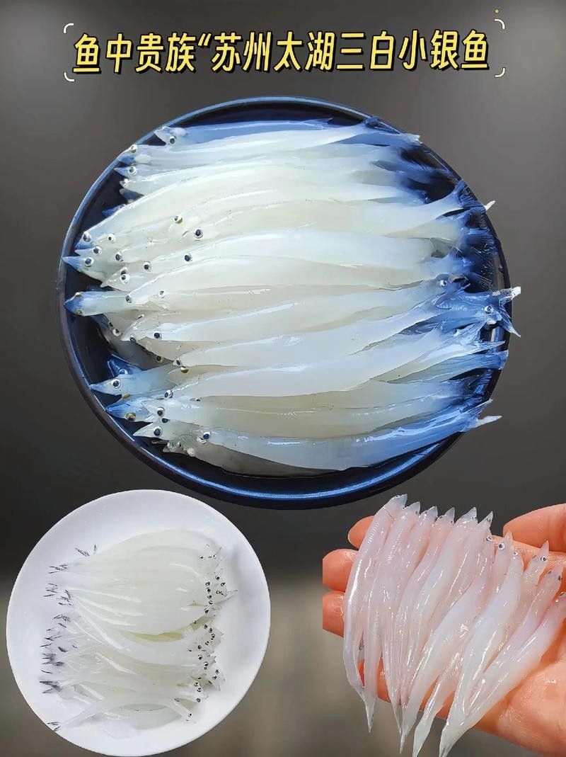 銀龍魚的做法大全家常做法圖片