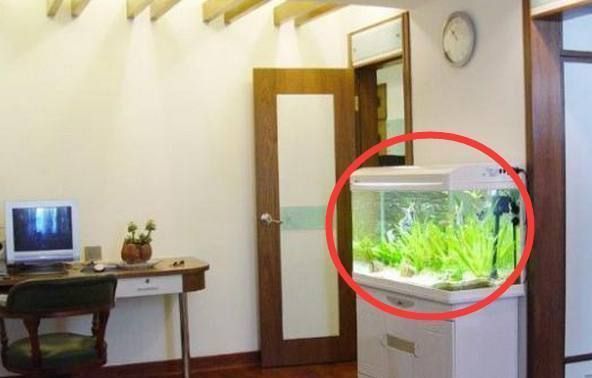 魚缸放置的位置有講究嗎，如何根據(jù)五行選擇養(yǎng)魚數(shù)量魚缸不宜擺放在哪些位置