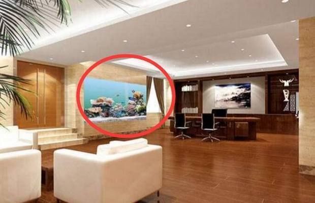 魚缸放置的位置有講究嗎，如何根據(jù)五行選擇養(yǎng)魚數(shù)量魚缸不宜擺放在哪些位置