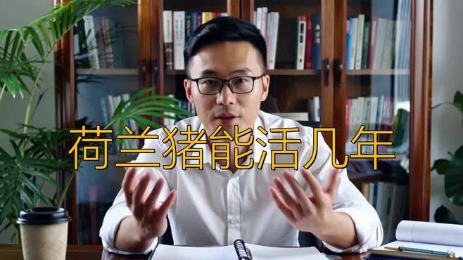 龍貓和荷蘭豬的壽命分別有多長？