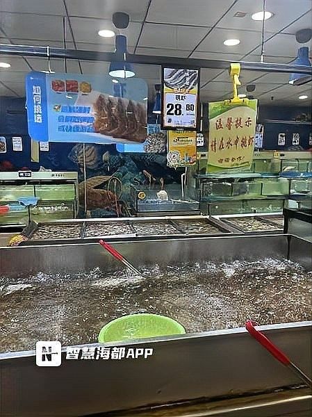 龍蝦的最佳食用季節