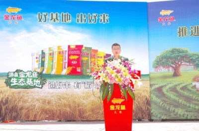 金龍魚黑龍江有分廠嗎：金龍魚在黑龍江省設有多個分廠及其相關信息