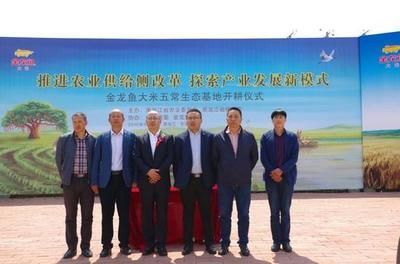 金龍魚黑龍江有分廠嗎：金龍魚在黑龍江省設有多個分廠及其相關信息
