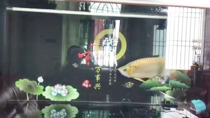 龍魚缸背景
