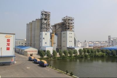 金龍魚現狀及發展前景怎么寫（關于金龍魚現狀及發展前景的寫作）