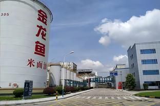 金龍魚現狀及發展前景怎么寫（關于金龍魚現狀及發展前景的寫作）