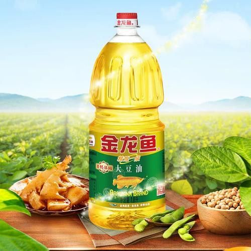 金龍魚產品圖片大全大圖高清