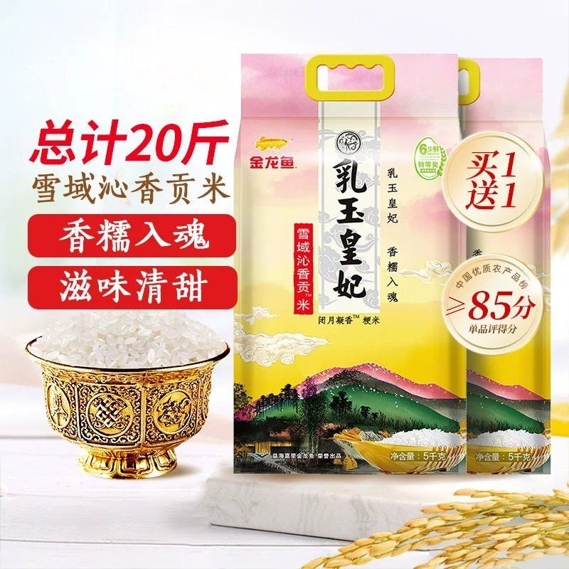 金龍魚產品圖片大全大圖高清