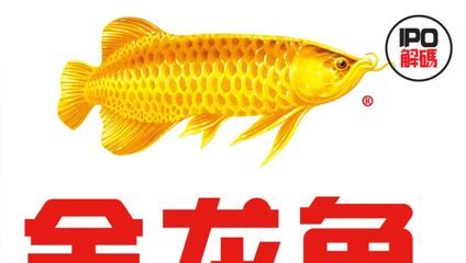 金龍魚港萬里號店電話（金龍魚港萬里號店）