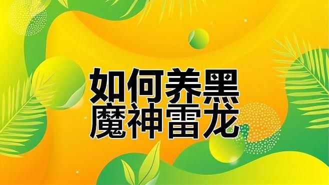 黑魔神雷龍魚要多大的魚缸養(yǎng)