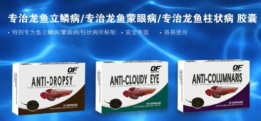 龍魚立鱗怎么治，龍魚立鱗治療后的護理要點