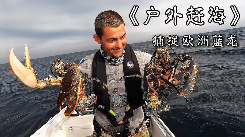 藍龍魚多少錢一只