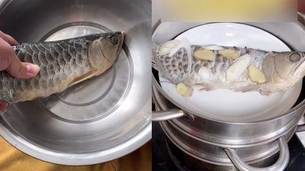 金龍魚用加氧嗎（關于金龍魚是否需要加氧的關鍵點）