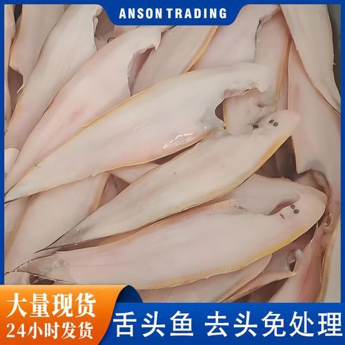 煙臺金龍魚舌體銷售怎么樣