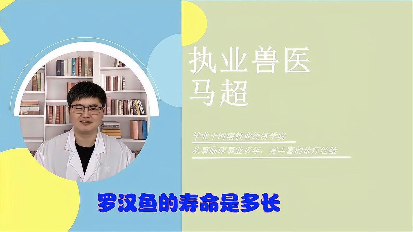 羅漢魚品種排名壽命