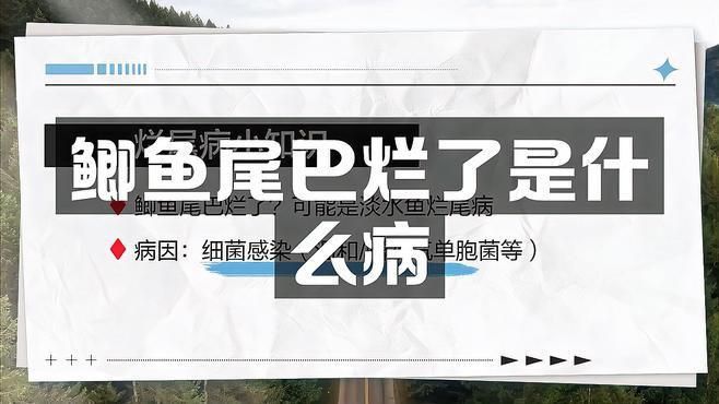 如何判斷魚是否感染爛尾病？