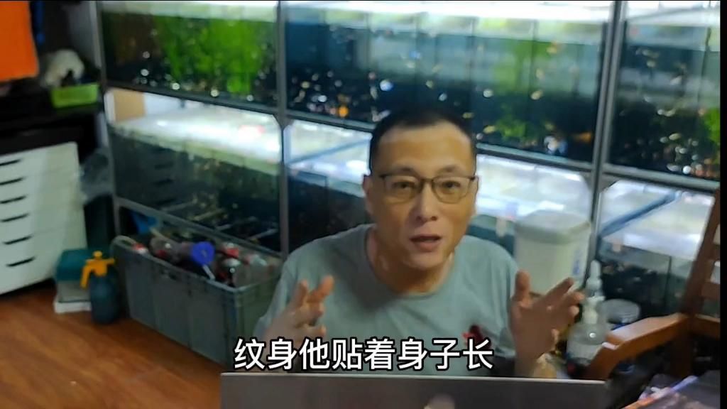 如何判斷魚是否感染爛尾病？