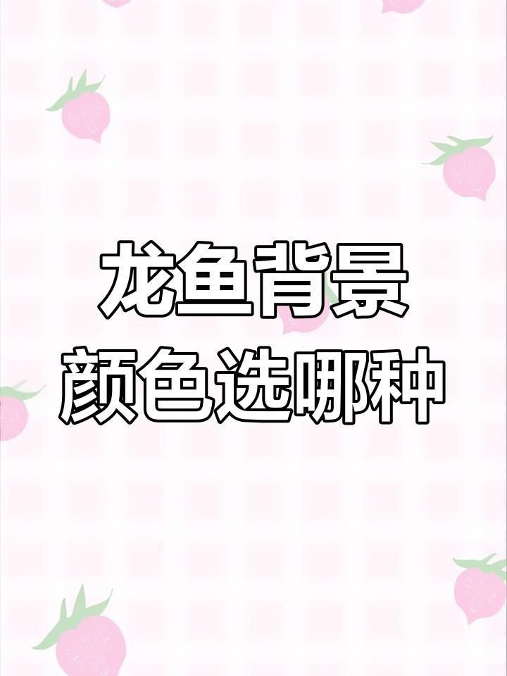 金龍白背景好嗎