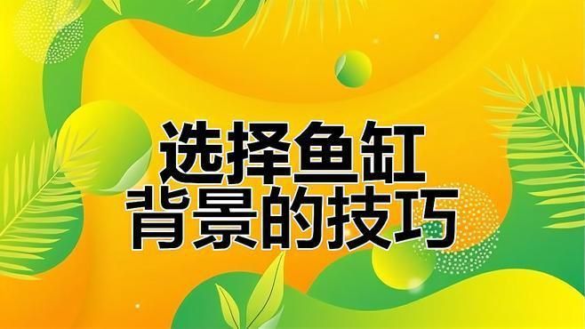 金龍白背景好嗎