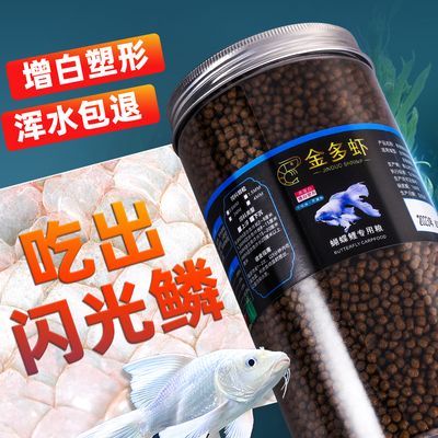 蝴蝶魚飼料品牌推薦：蝴蝶鯉專用飼料選擇