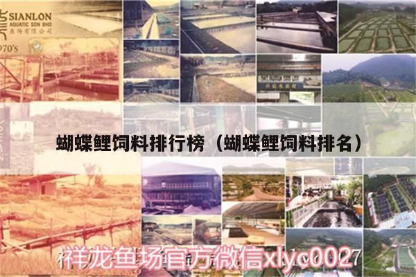 蝴蝶魚飼料品牌推薦：蝴蝶鯉專用飼料選擇