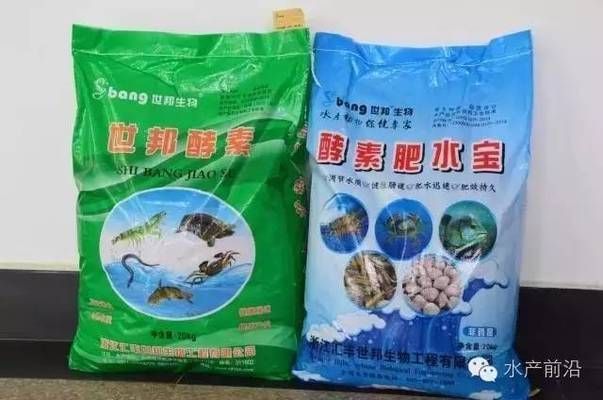 蝴蝶魚飼料品牌推薦：蝴蝶鯉專用飼料選擇