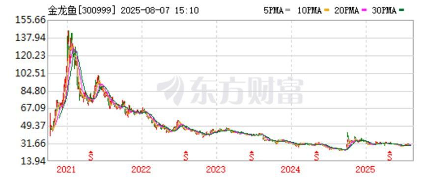 金龍魚市場價格波動大嗎？