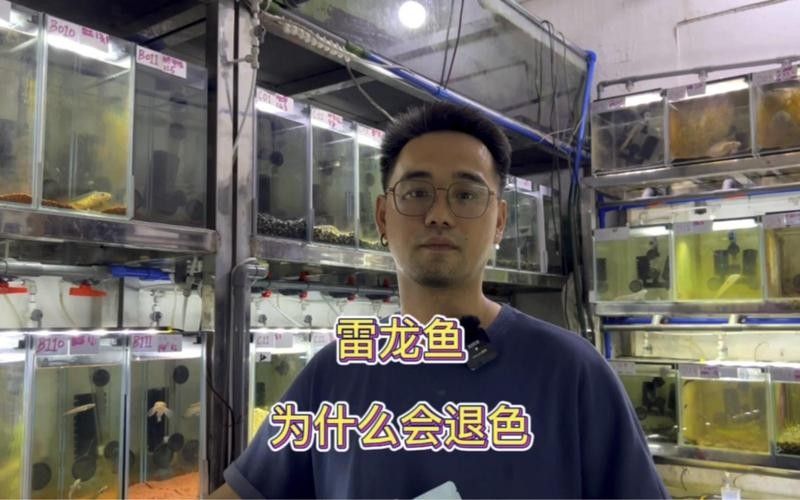 雷龍魚顏色變淺