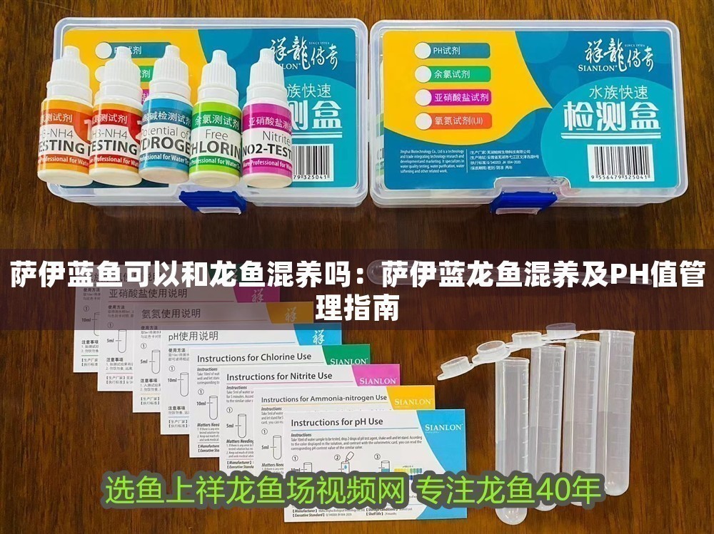 薩伊藍魚可以和龍魚混養嗎：薩伊藍龍魚混養及PH值管理指南