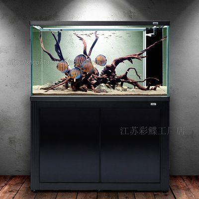 龍魚缸品牌推薦（龍魚缸品牌排行榜）