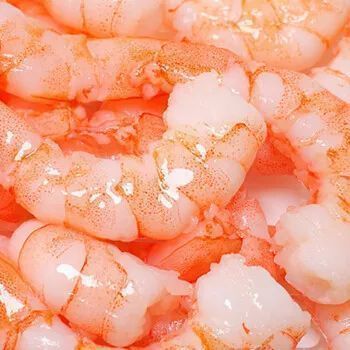 龍魚的嘴撞傷了會死嗎：龍魚吃海蝦對龍魚的影響
