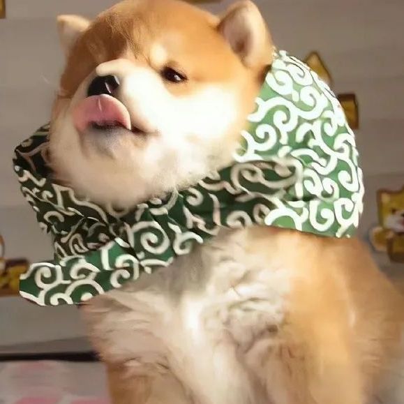 錦鯉三天喂一次行嗎