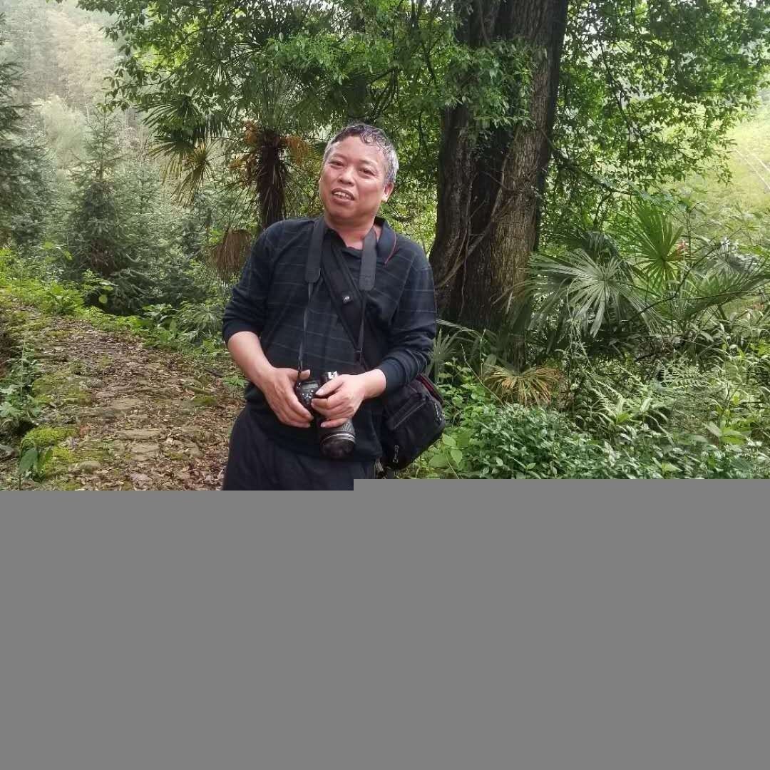 錦鯉三天喂一次行嗎