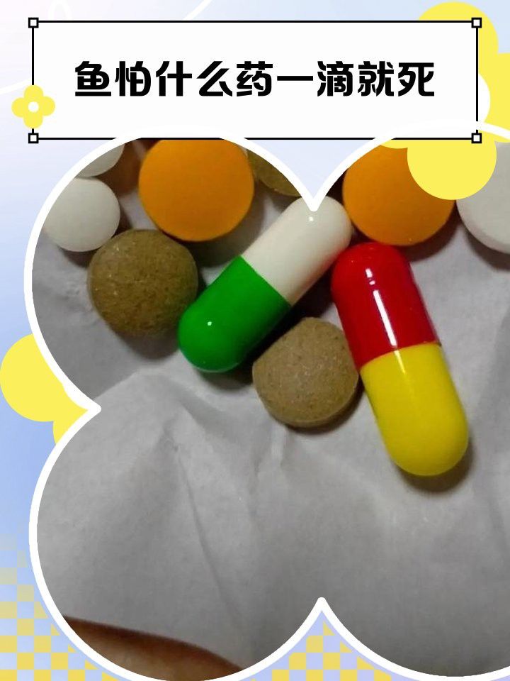 哪些藥物對龍魚和人類同時有害？
