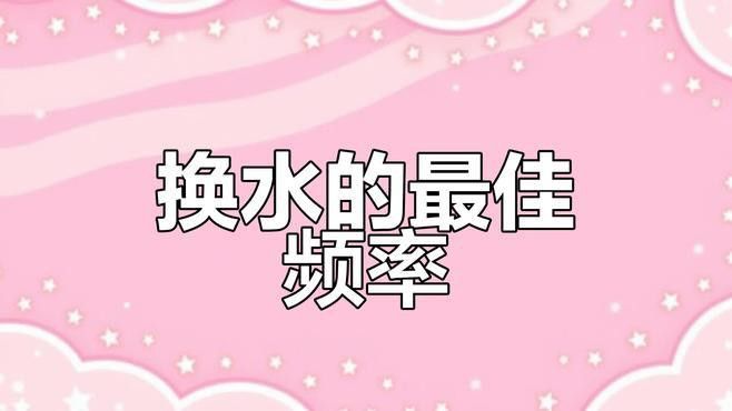曼龍魚多久需要換一次水？