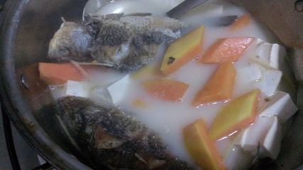 龍魚吃豬肉嗎？：龍魚可以吃豬肉嗎