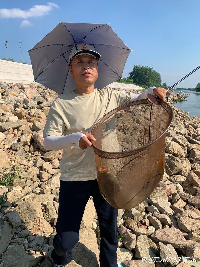 定龍魚線的勁磨怎么樣