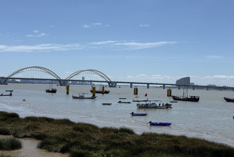 有哪些替代海龍魚的美食？