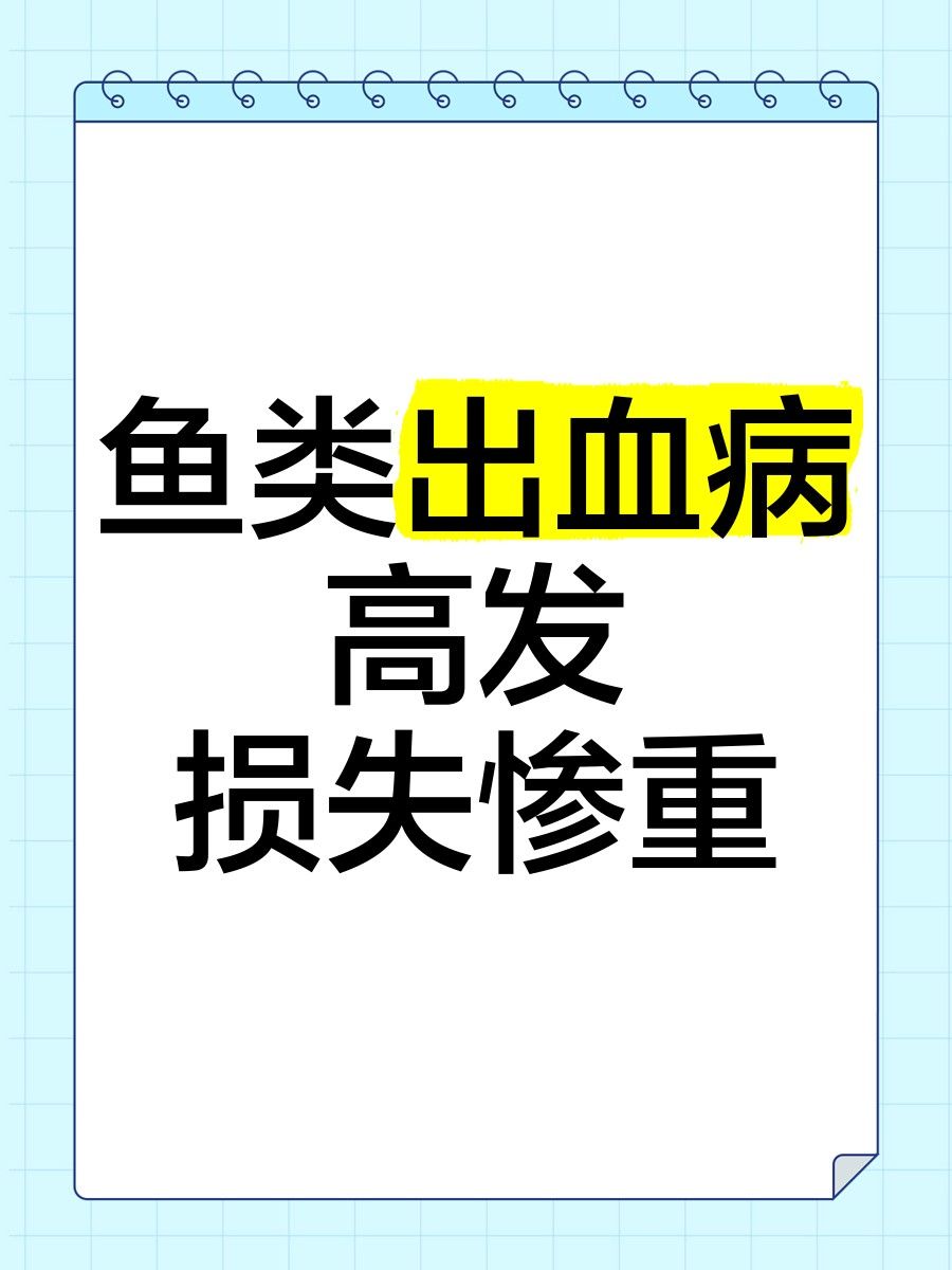 銀龍魚鱗片充血圖片 銀龍魚鱗片充血圖片 龍魚百科 第25張