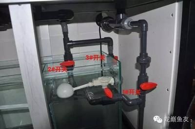 魚缸水泵不抽水了怎么回事（如何清理魚缸水泵雜物）