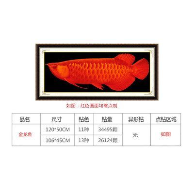 金龍魚尺寸：金龍魚的魚缸尺寸、產品產品尺寸以及養殖方法