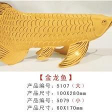 金龍魚尺寸：金龍魚的魚缸尺寸、產品產品尺寸以及養殖方法