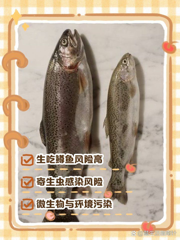 金鱒魚為何要盡量少吃 龍魚百科 第2張 金鱒魚為何要盡量少吃 金鱒魚為何要盡量少吃 龍魚百科 第2張