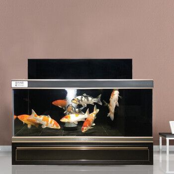 gdshangpin魚(yú)缸（gdshangpin魚(yú)缸價(jià)格對(duì)比）