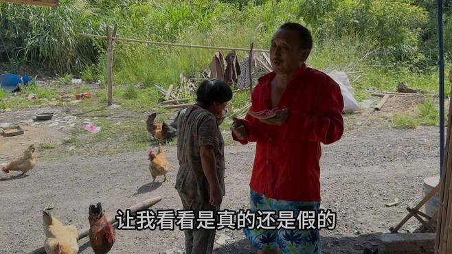 龍龍視頻有哪些熱門內容？