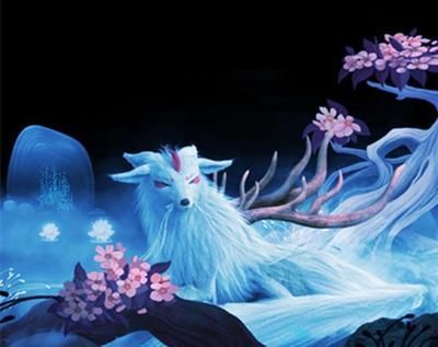 白色的龍魚上古：白色的白龍魚上古是什么梗？ 白色的龍魚上古：白色的白龍魚上古是什么梗？ 龍魚百科 第1張