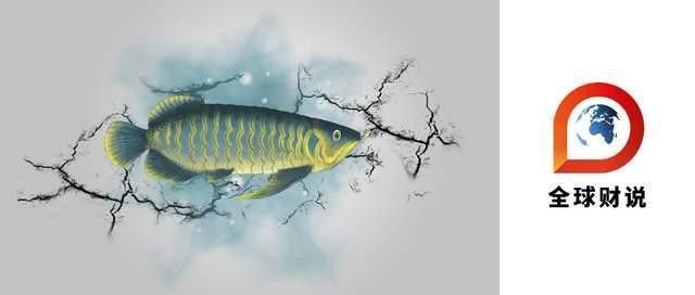 金龍魚是央企嗎？
