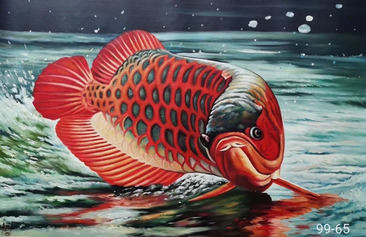 紅金龍魚的價格和圖片